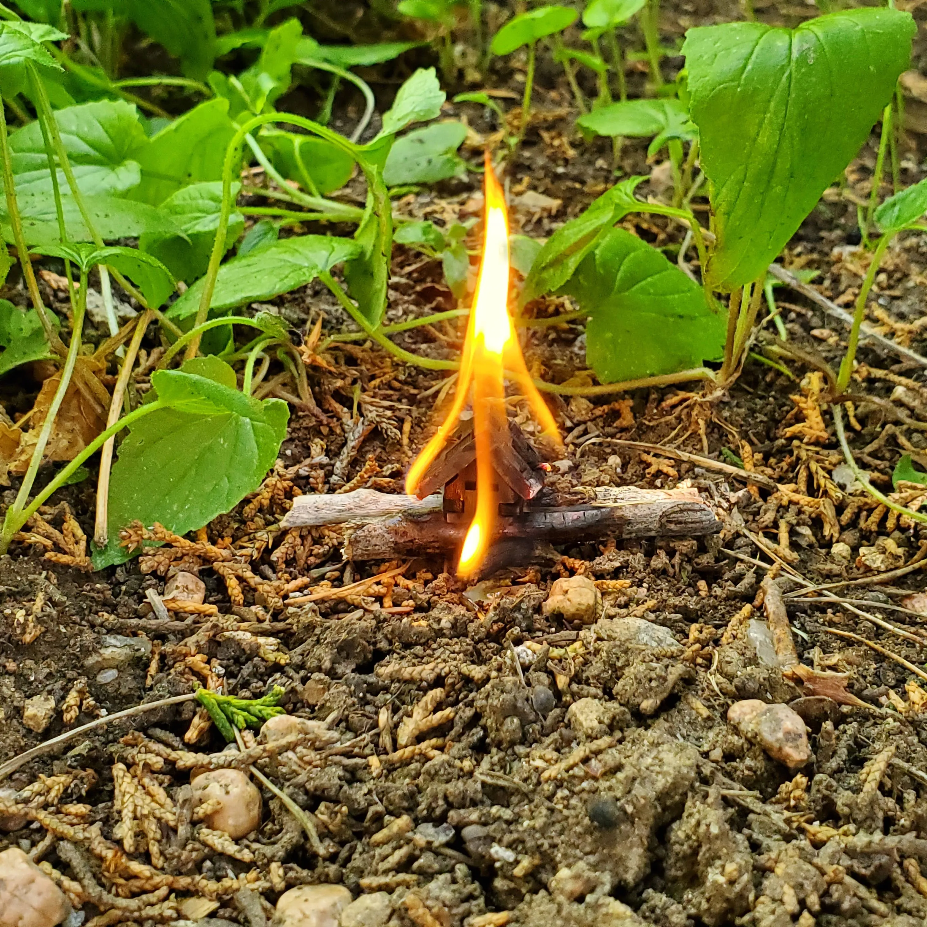 House on Fire Starter