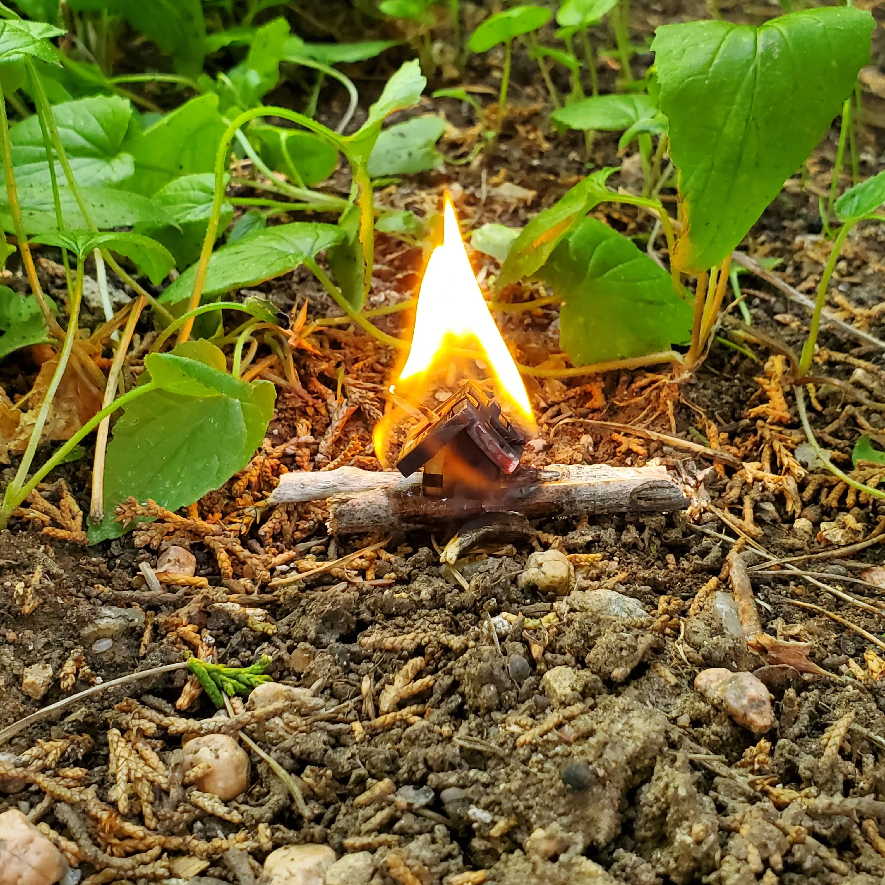 House on Fire Starter
