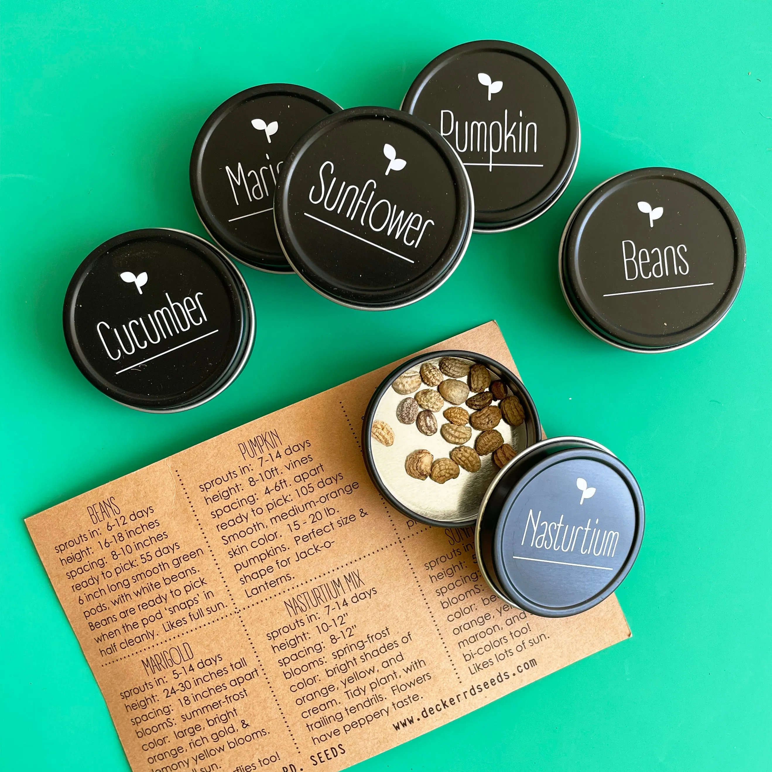 Kid's Garden Seed Kit