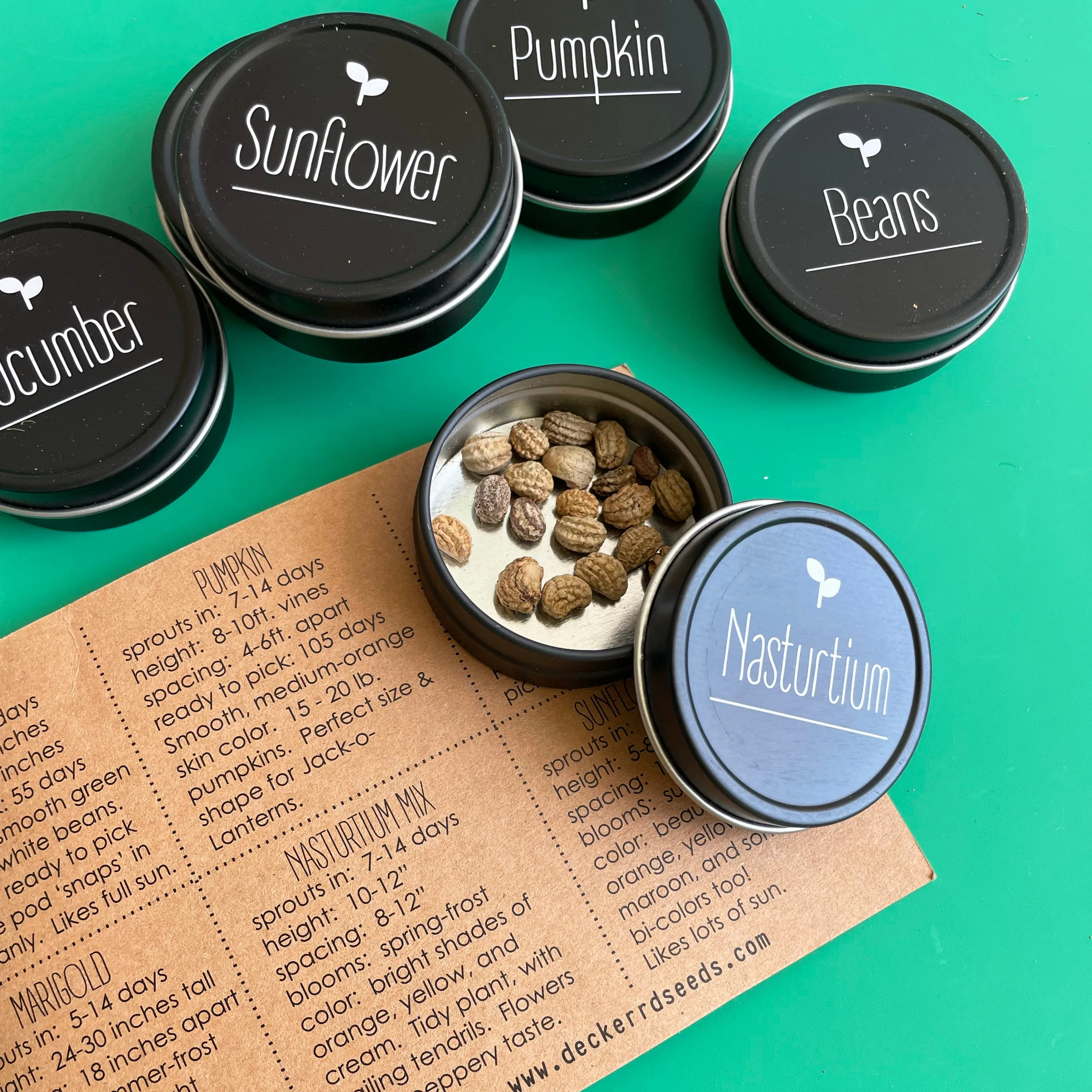 Kid's Garden Seed Kit