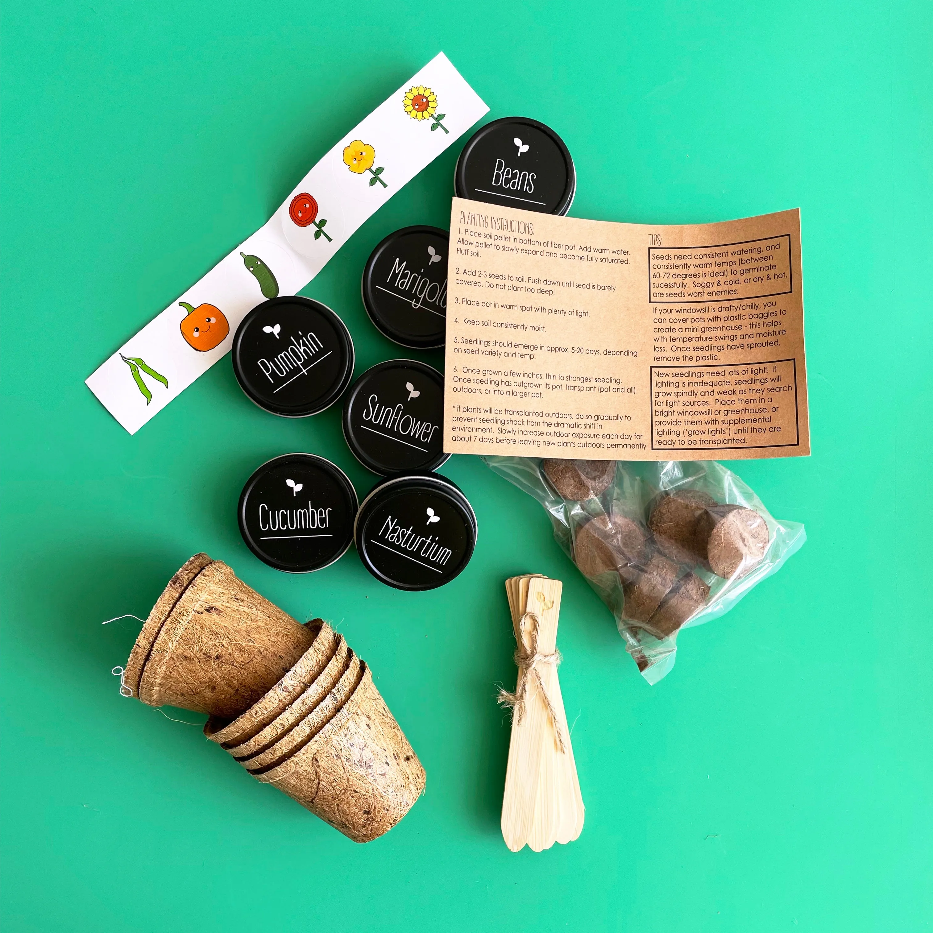 Kid's Garden Seed Kit