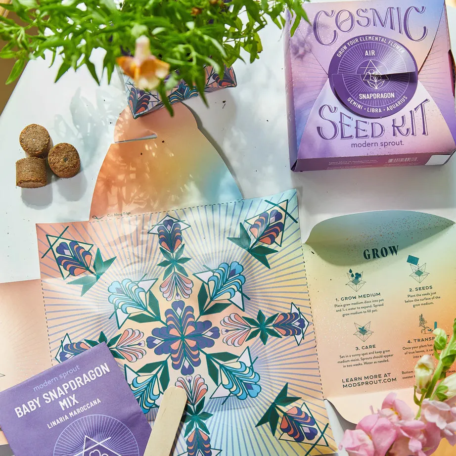 Modern Sprout Cosmic Seed Kits